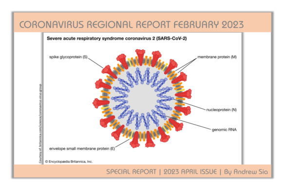 TREND REPORT SPRING SUMMER 2024 JANUARY 2023 ISSUE International   PI 2304 29 Coronavirus Rgl Rpt 2302EN2 585x390 